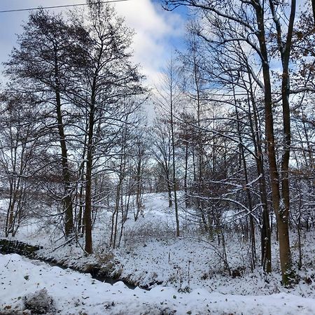 Szewska Pasja Agroturystyka Wiejska Leśna Exterior foto