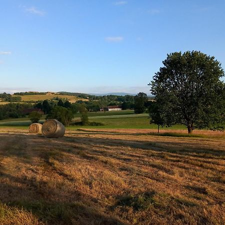 Szewska Pasja Agroturystyka Wiejska Leśna Exterior foto