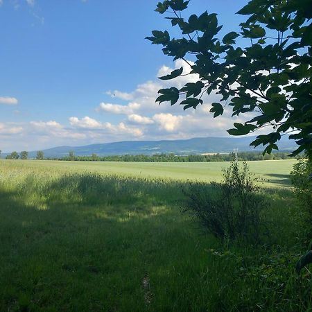 Szewska Pasja Agroturystyka Wiejska Leśna Exterior foto