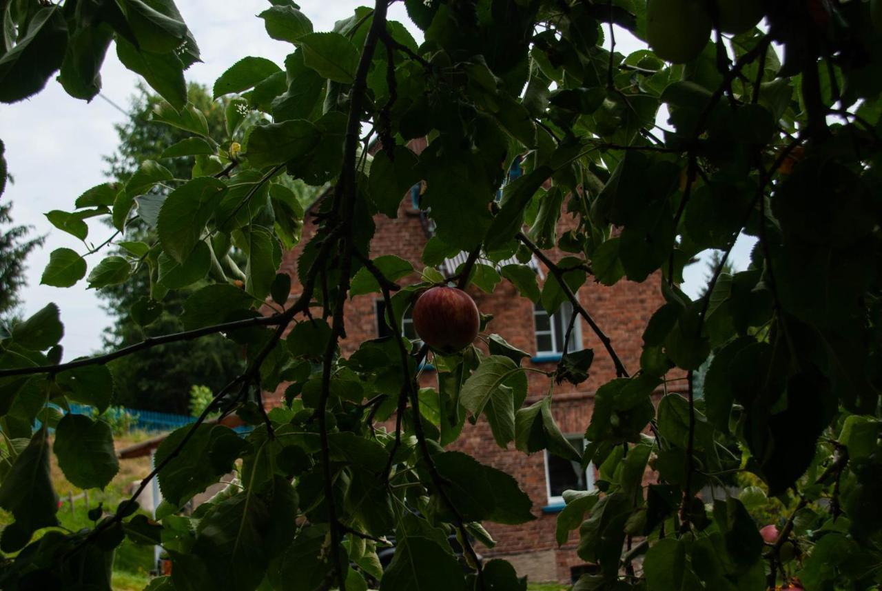 Szewska Pasja Agroturystyka Wiejska Leśna Exterior foto