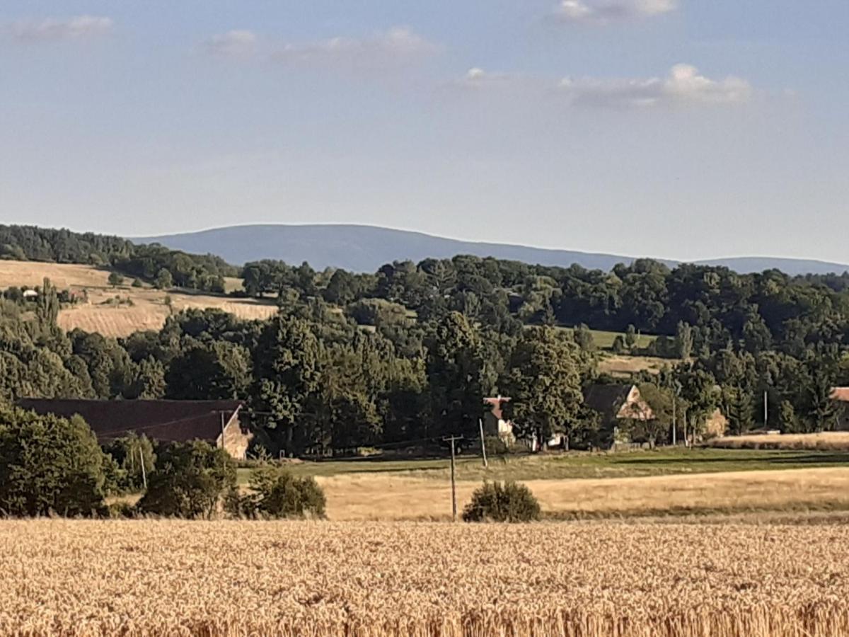 Szewska Pasja Agroturystyka Wiejska Leśna Exterior foto