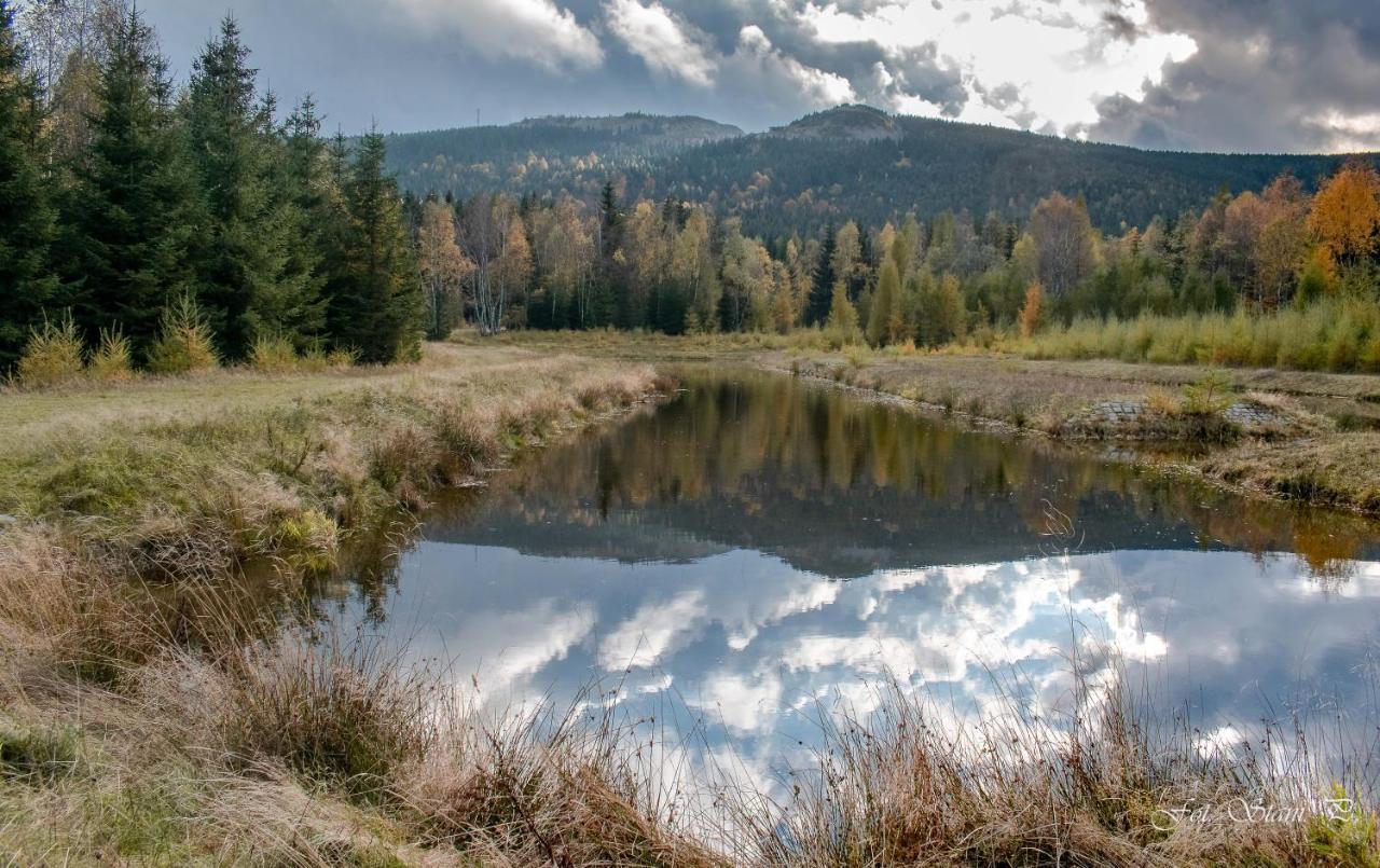 Szewska Pasja Agroturystyka Wiejska Leśna Exterior foto