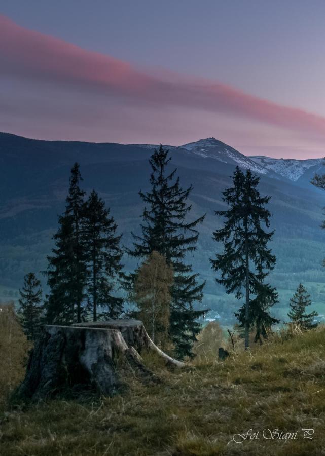 Szewska Pasja Agroturystyka Wiejska Leśna Exterior foto