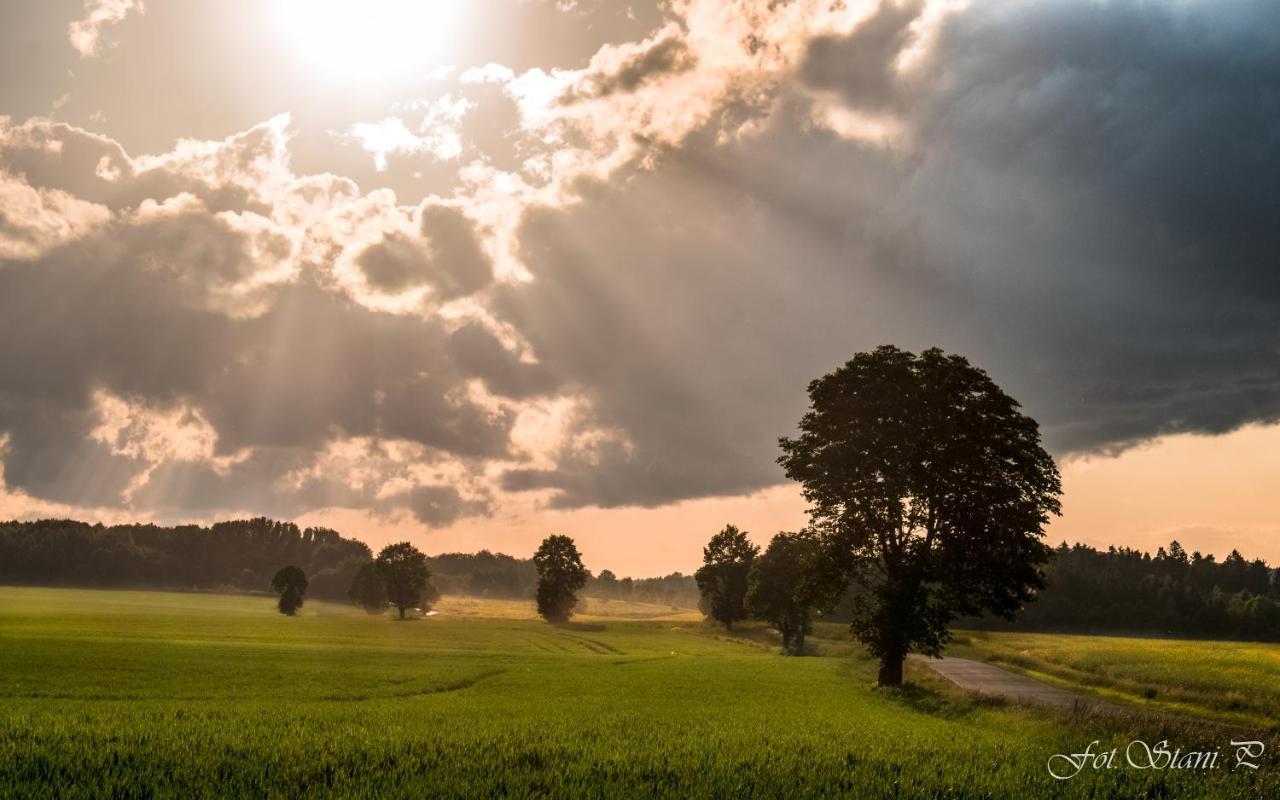 Szewska Pasja Agroturystyka Wiejska Leśna Exterior foto