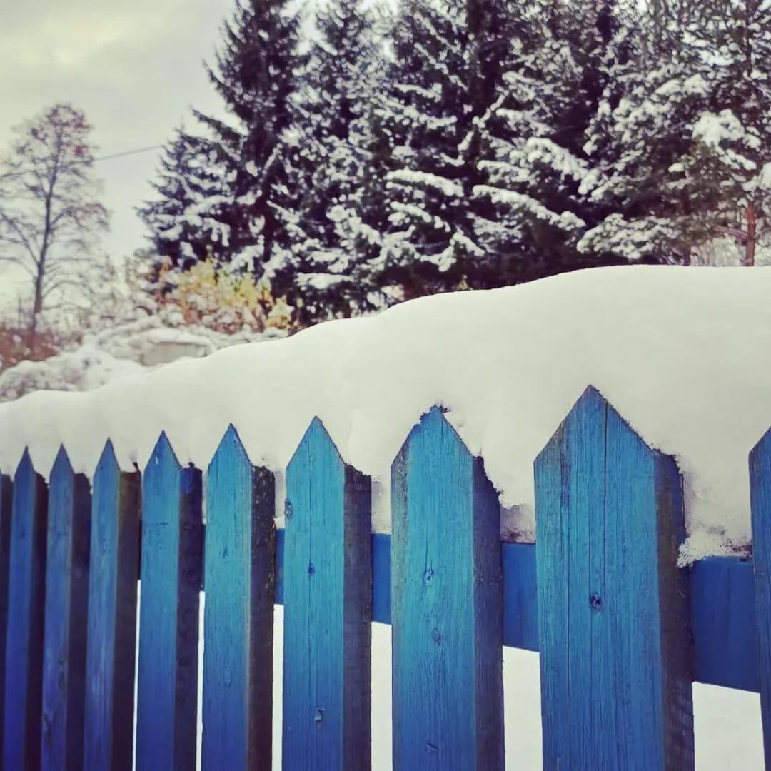 Szewska Pasja Agroturystyka Wiejska Leśna Quarto foto