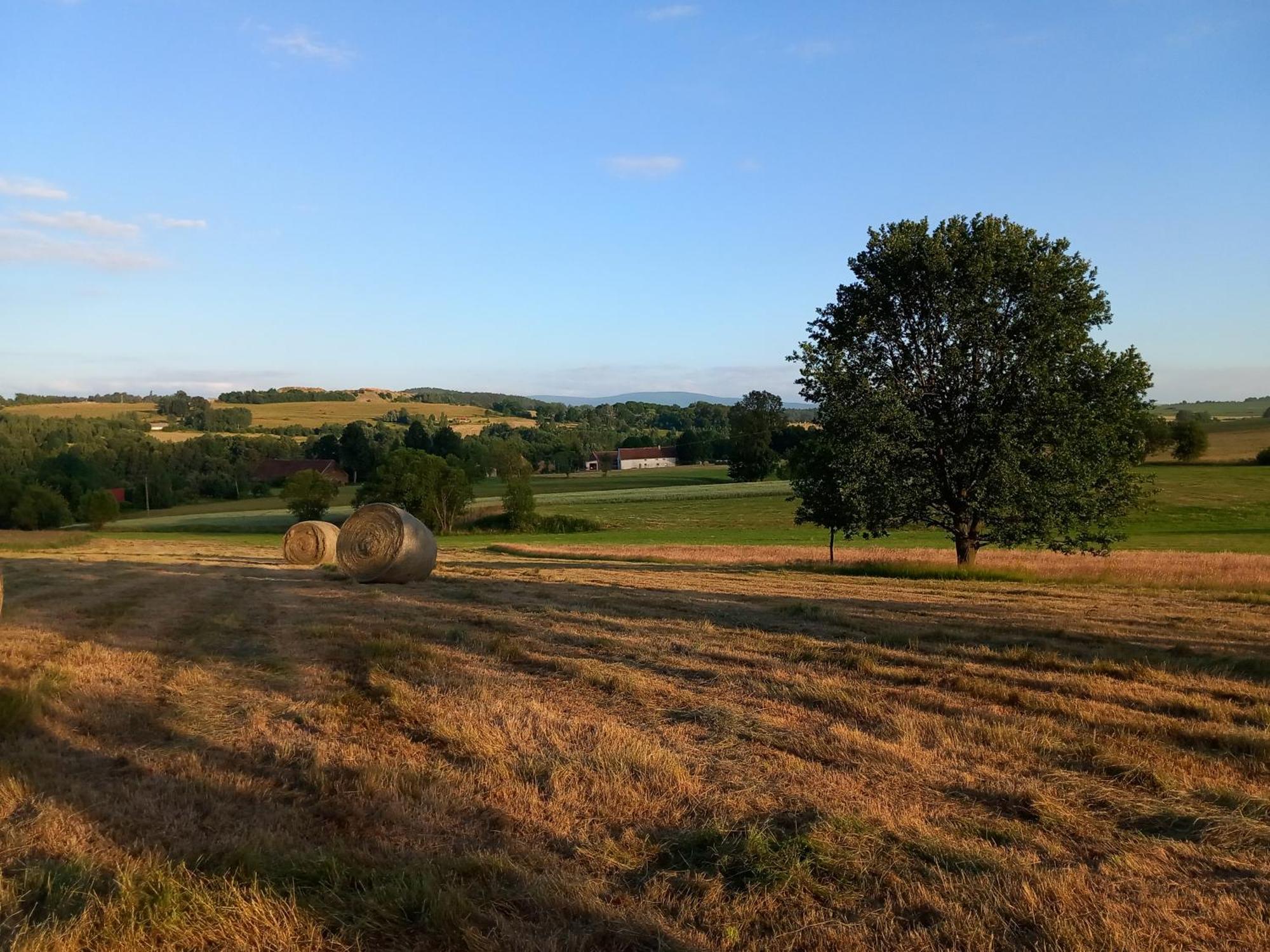 Szewska Pasja Agroturystyka Wiejska Leśna Exterior foto