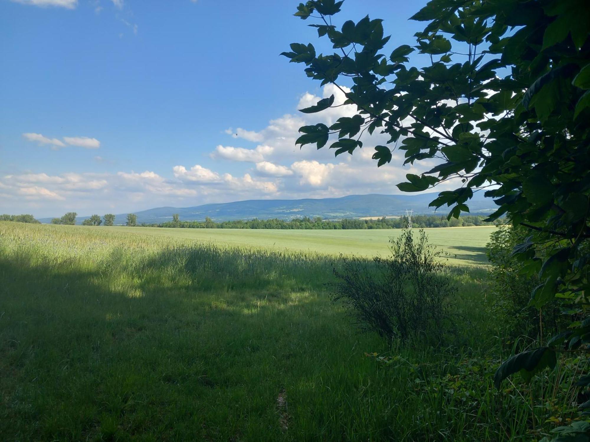 Szewska Pasja Agroturystyka Wiejska Leśna Exterior foto